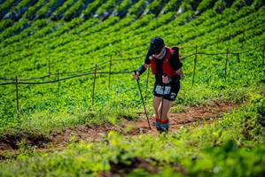 BIB: 
                            <button type="button" onclick="openModal(19162025)" class="btn btn-primary btn-sm float-right btn-popup" data-toggle="modal" data-target=".modal-high-quality">
                        <i class="fas fa-shopping-cart"></i> Add to Cart
                    </button>
                                            <button type="button" onclick="isThisMe(19162025, true)" class="btn btn-success btn-sm float-right btn-popup btn-isme hidden" data-toggle="tooltip" data-placement="bottom" title="นี่คือรูปของคุณใช่ไหม คลิกที่นี่เพื่อเอาเข้าอัลบั้ม">
                        <i class="fas fa-plus"></i> Add to album
                    </button>
                    <button type="button" onclick="isThisMe(19162025, false)" class="btn btn-warning btn-sm float-right btn-popup btn-isnotme hidden">
                        <i class="fas fa-ban"></i> Remove from album
                    </button>